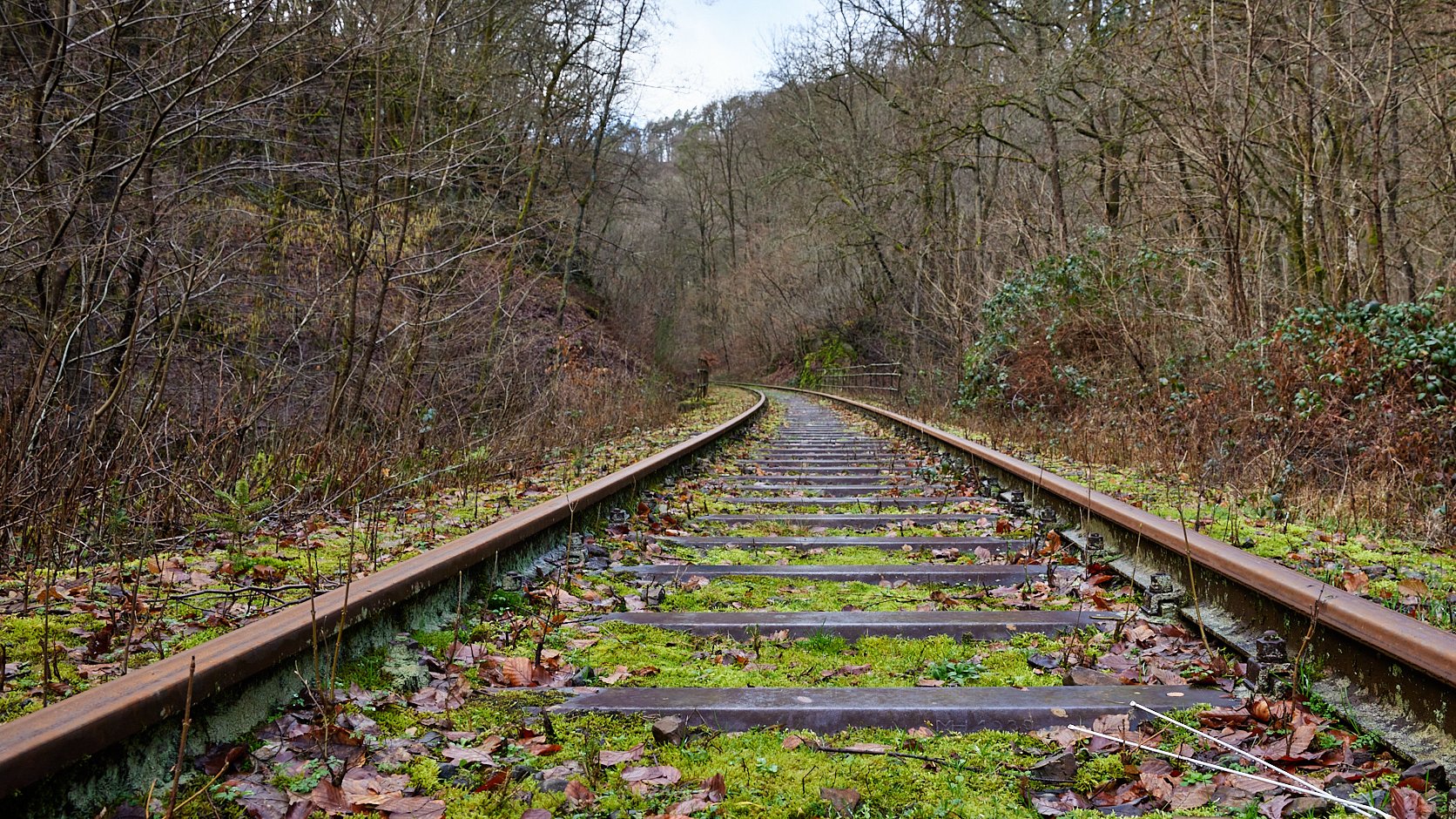 Wäller Tour Brexbachschlucht