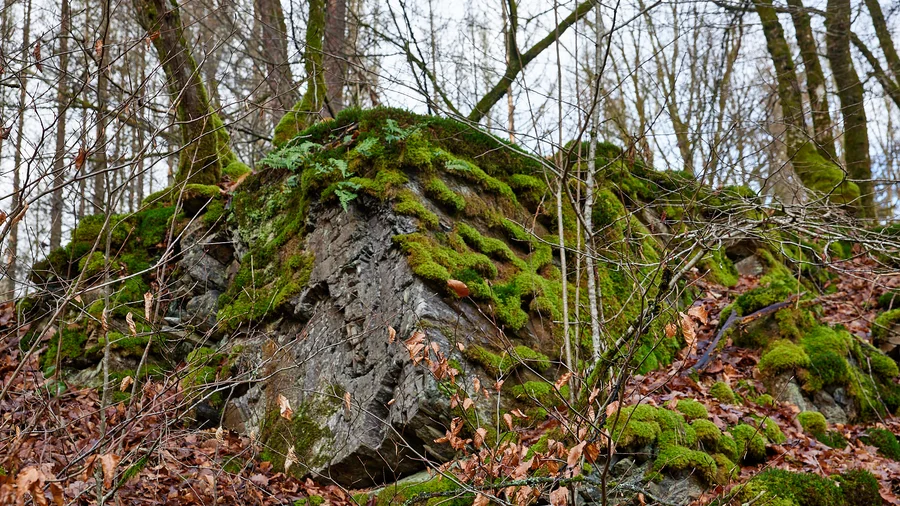 Brexbachschlucht