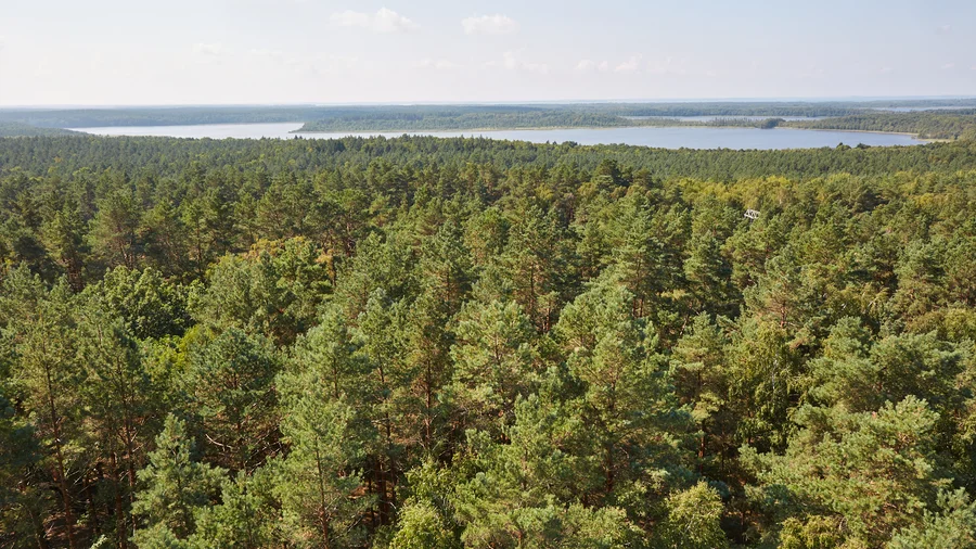 NP Müritz