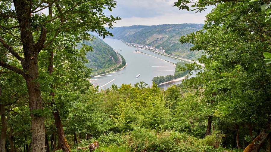 Wisper Trails: Rhein-Wisper-Glück 