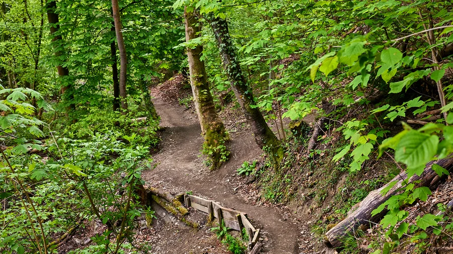 Wanderung Ruppertsklamm