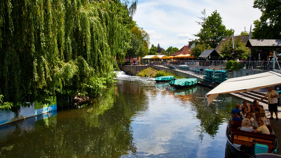 Spreewald