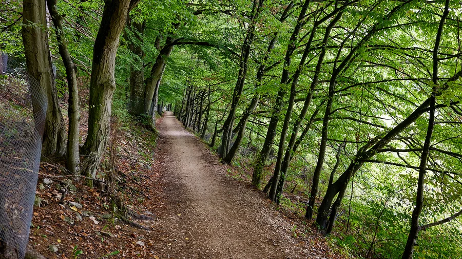 Altmühlradweg