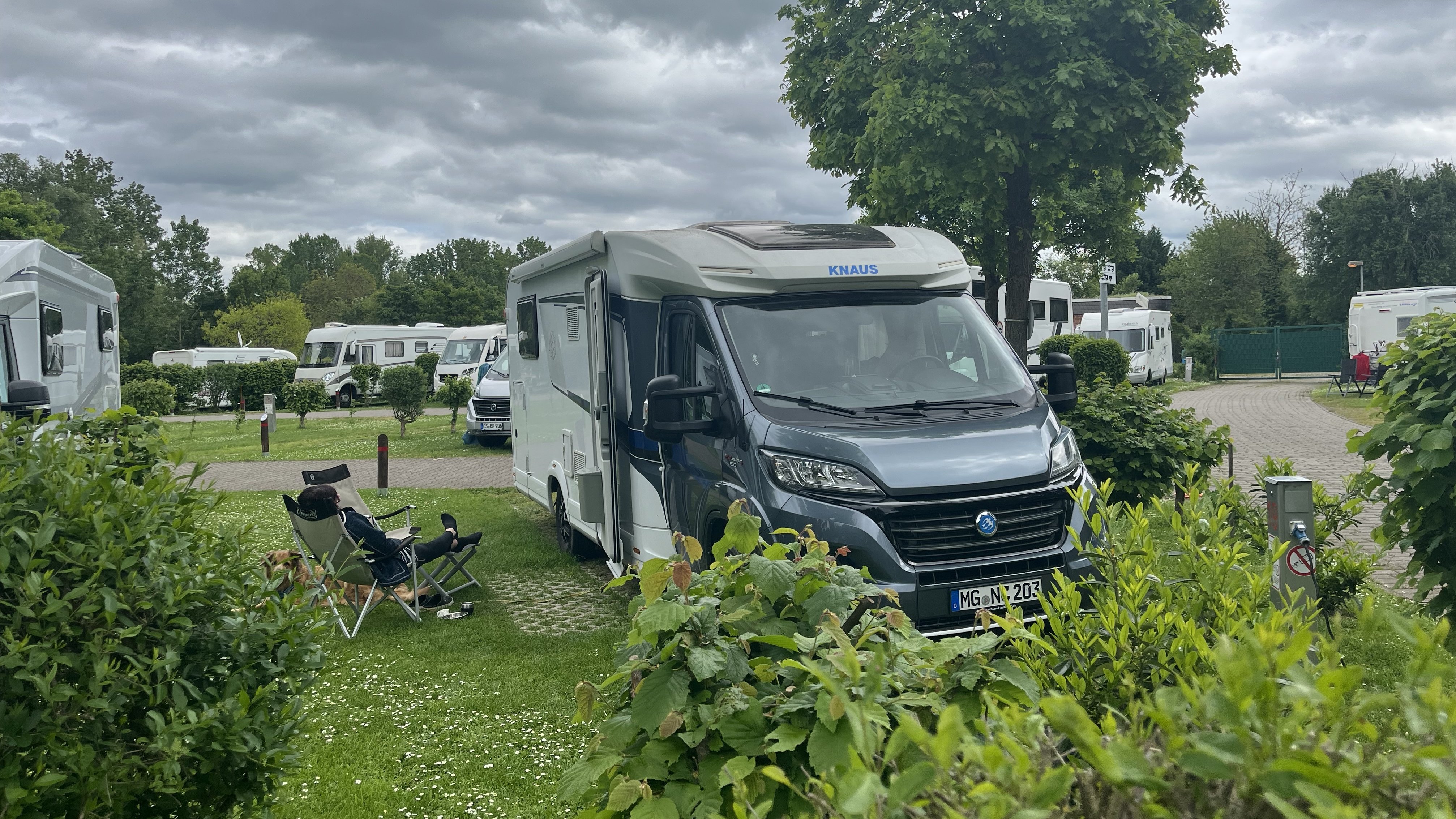 Stellplatz Bingen