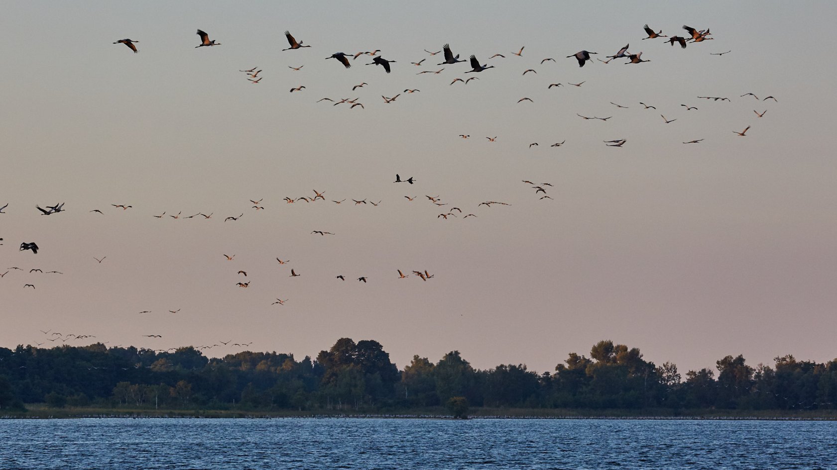Nationalpark Müritz