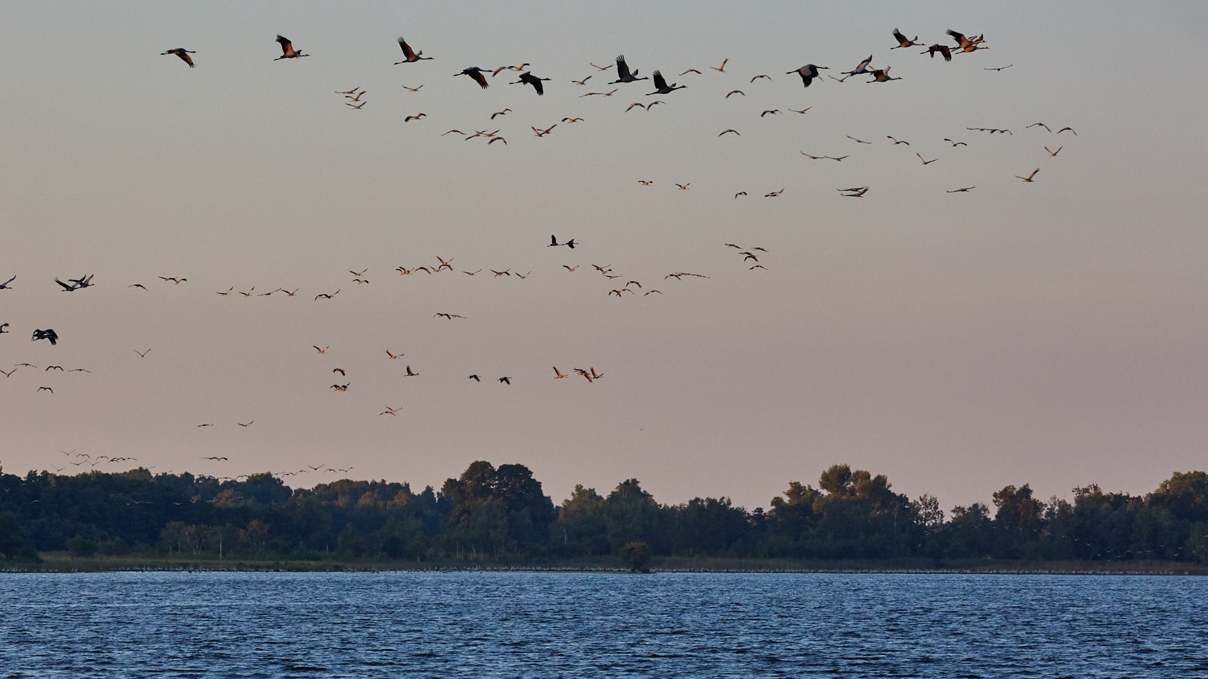 Müritz