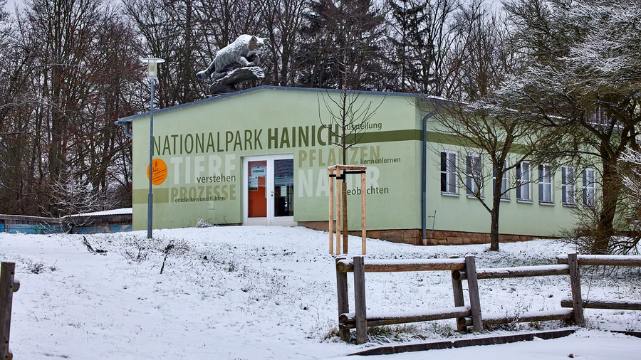 Hainich - Bummelkuppenweg