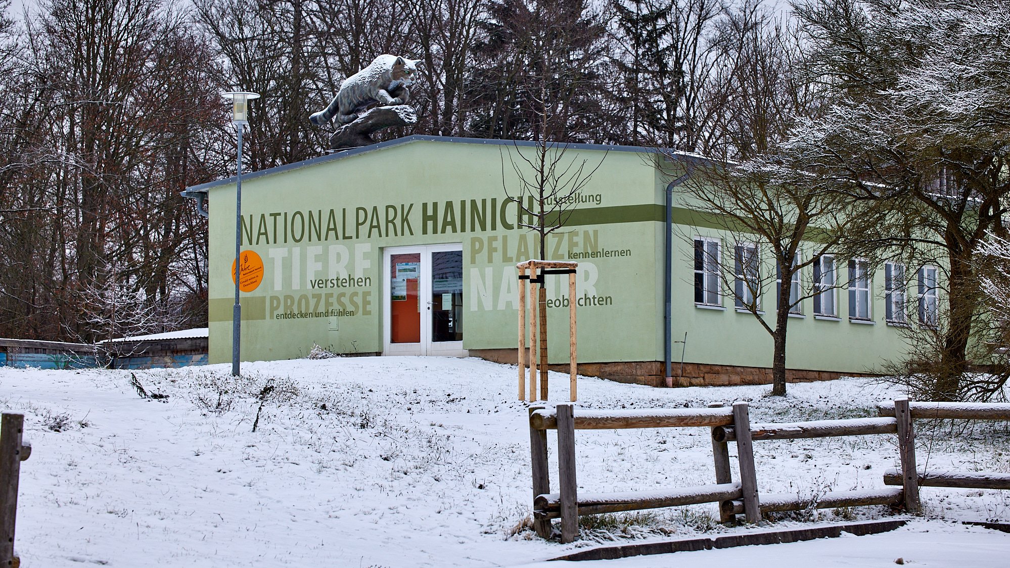 Hainich - Bummelkuppenweg