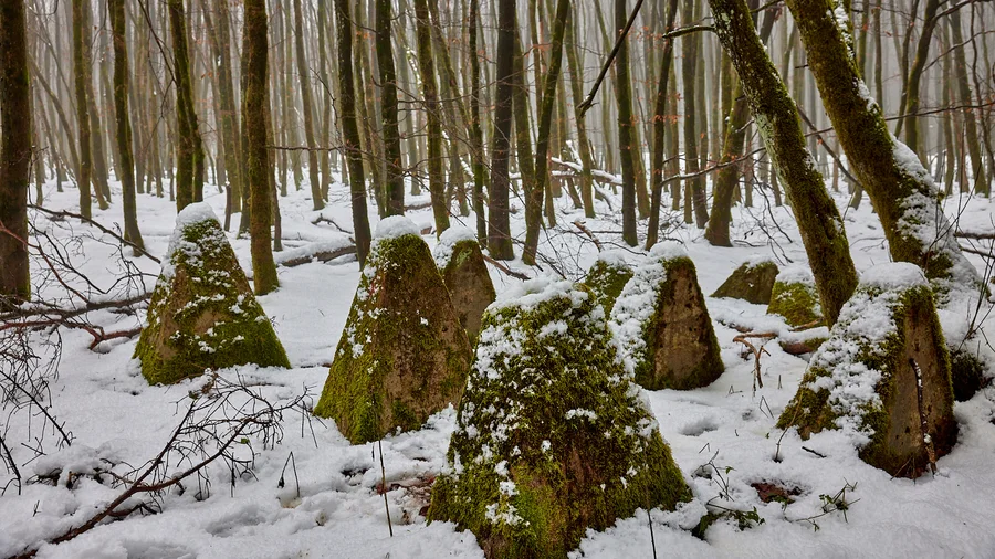 Am Weißen Stein - Eifel