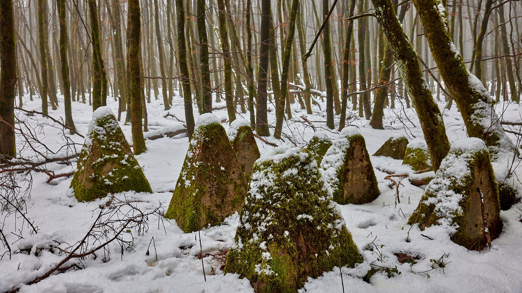 Am Weißen Stein - Eifel