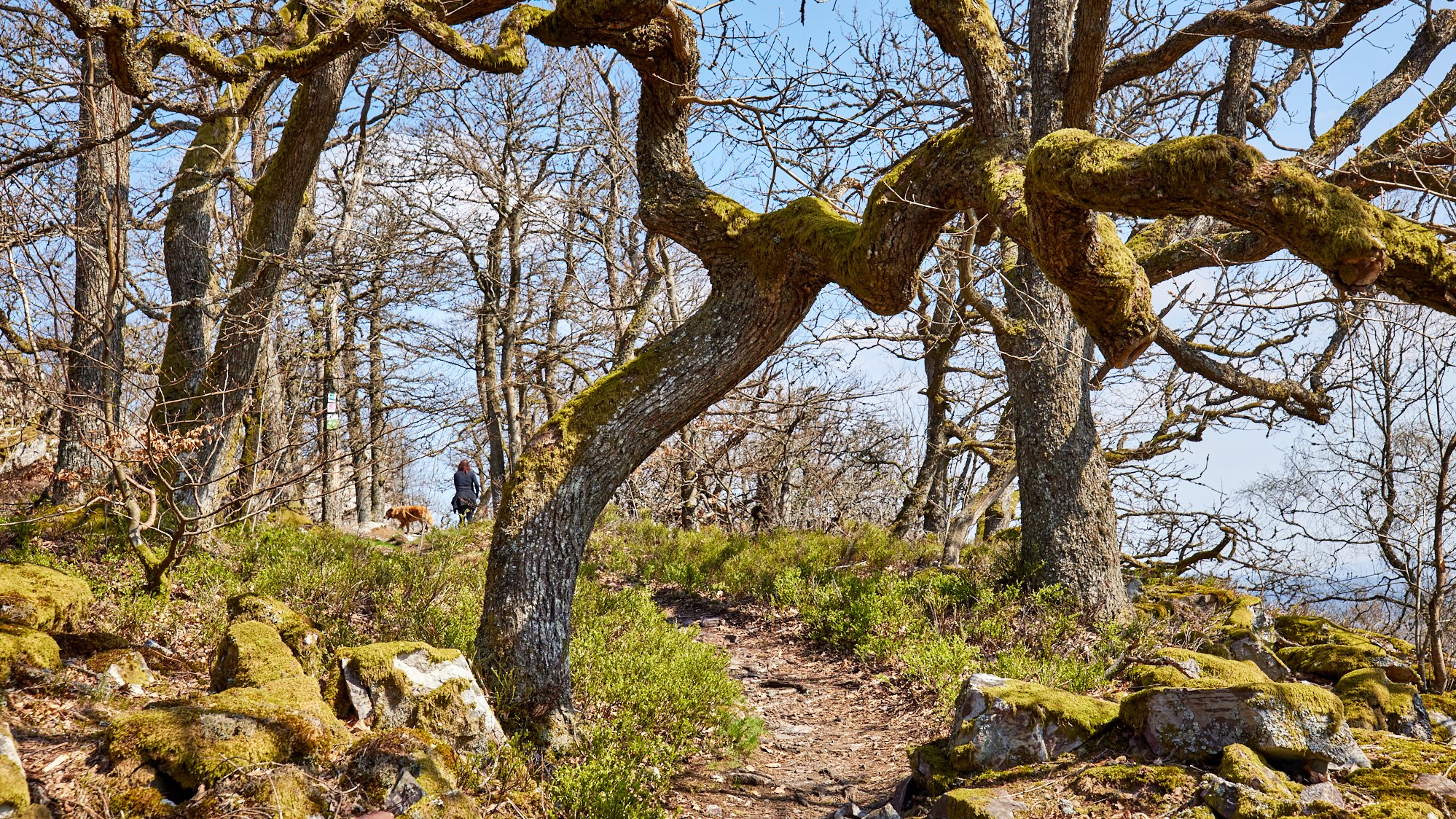 Kirschweiler Festung