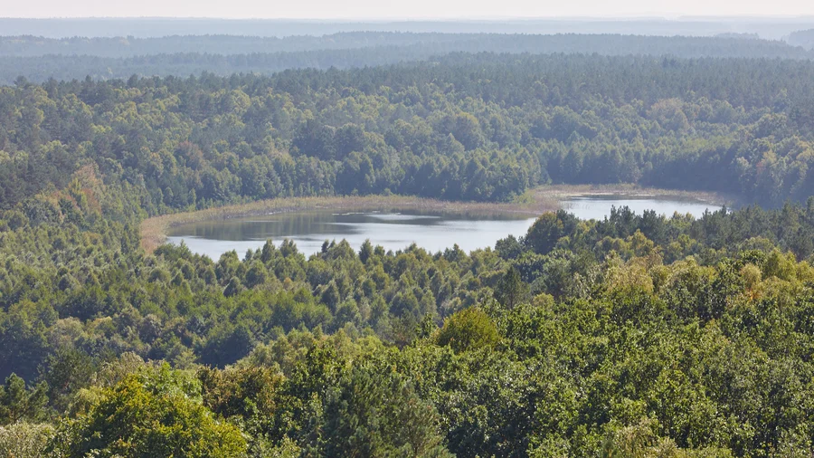 Nationalpark Müritz