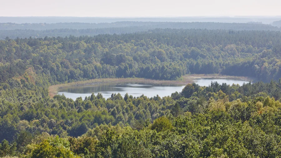 Müritz Nationalpark