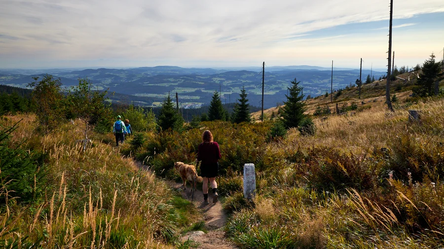 Bayerischer Wald