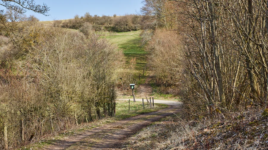 EifelSchleife Durchs Auelbachtal