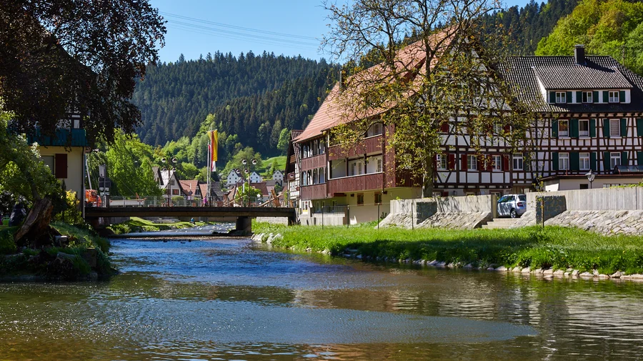 Der Schwarzwald