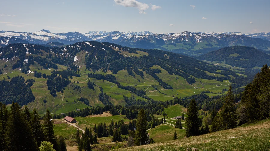 Gratwanderung zum Hochgrat