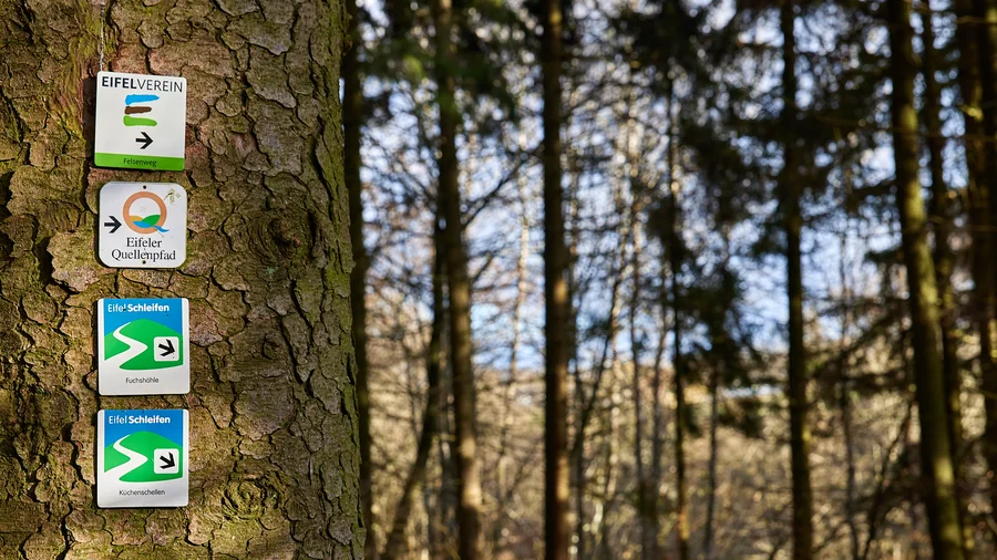 EifelSchleife Küchenschellen