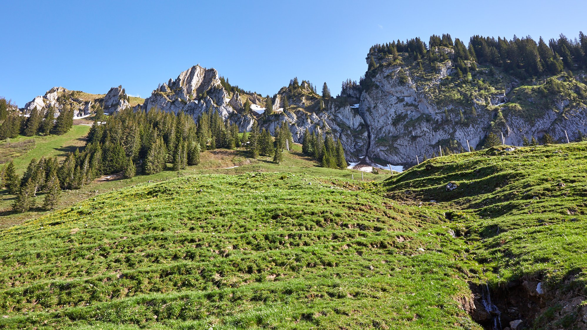 Besler / Balderschwang