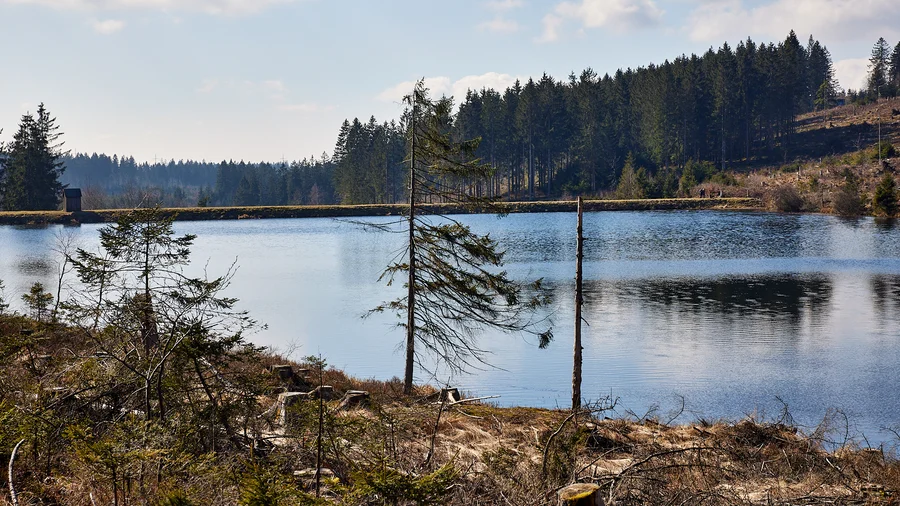 Liebesbankweg