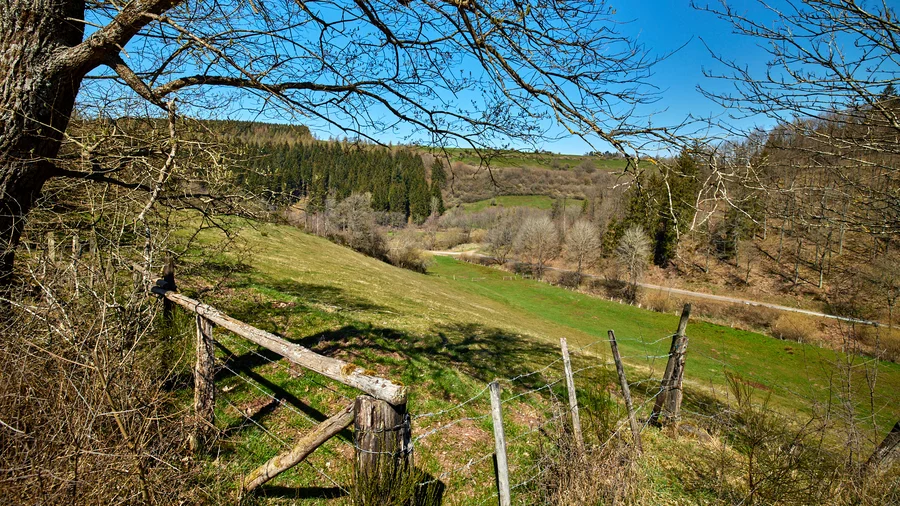 Eifelschleife Wildenburgsteig