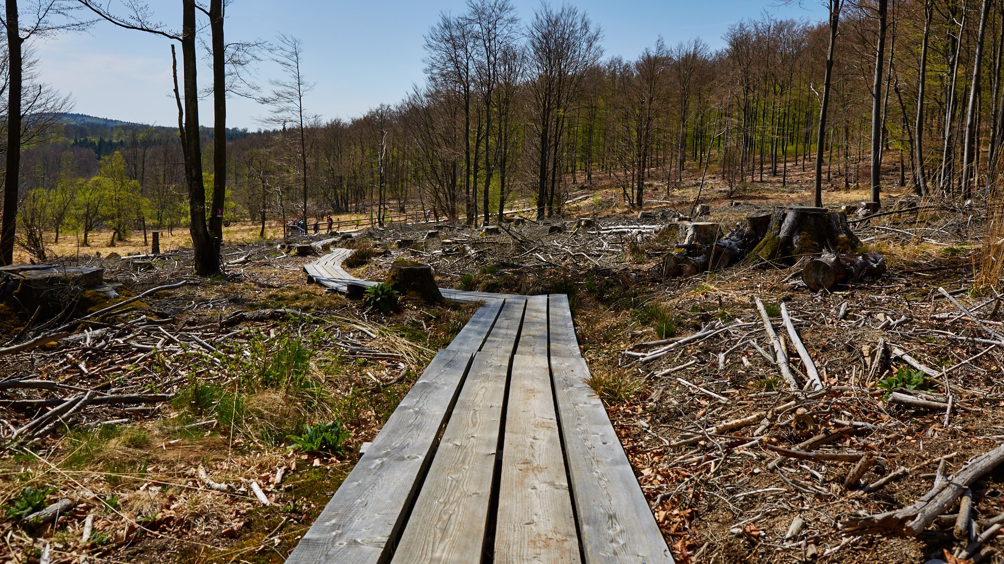 Nationalpark Hunsrück-Hochwald