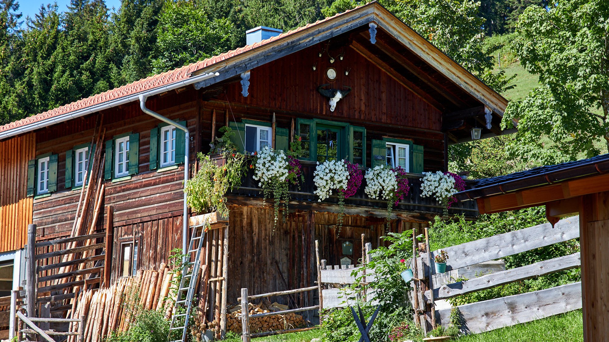 Die Almen unterhalb vom Wendelstein