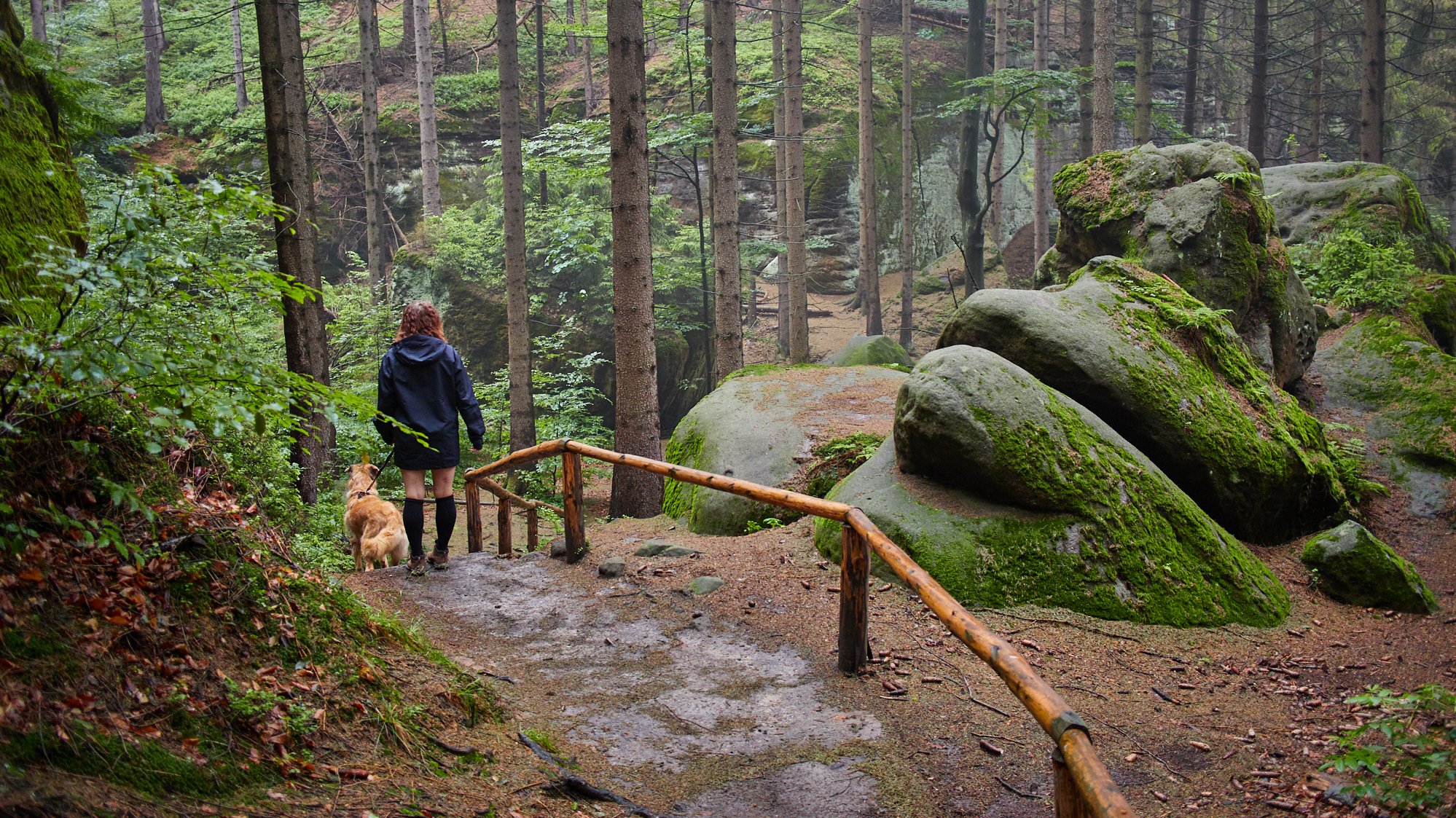 Kirnitzschklamm