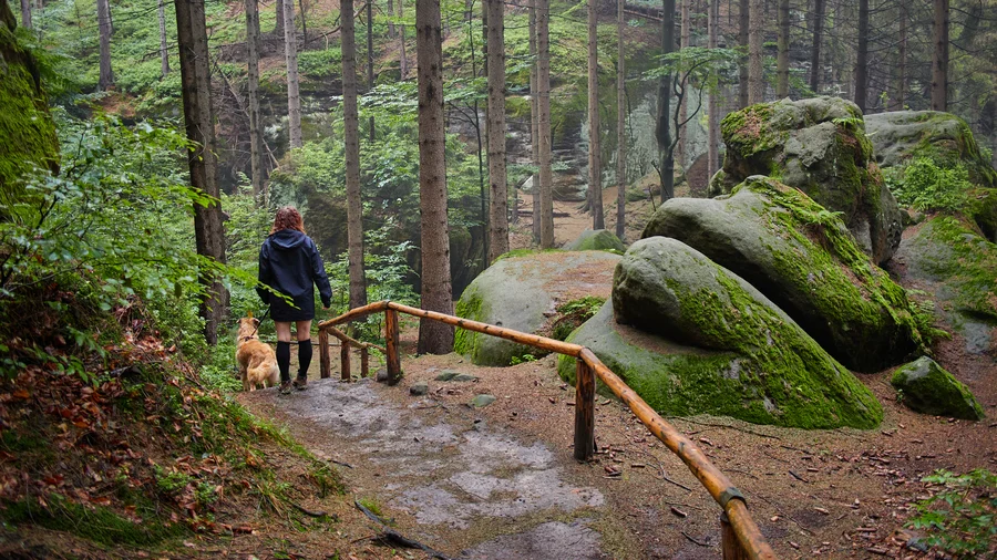 Kirnitzschklamm