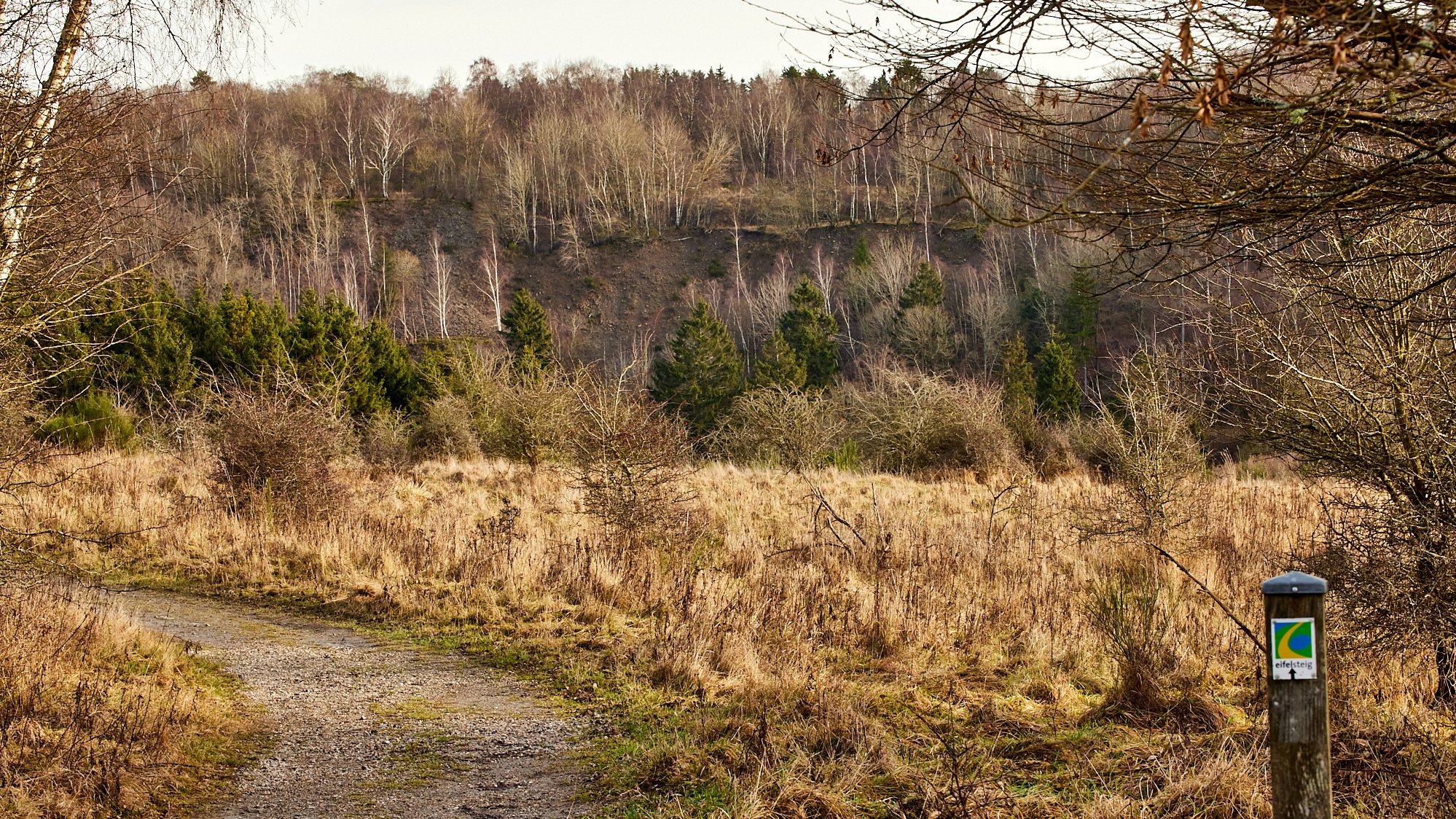 Wanderung um den Urftsee