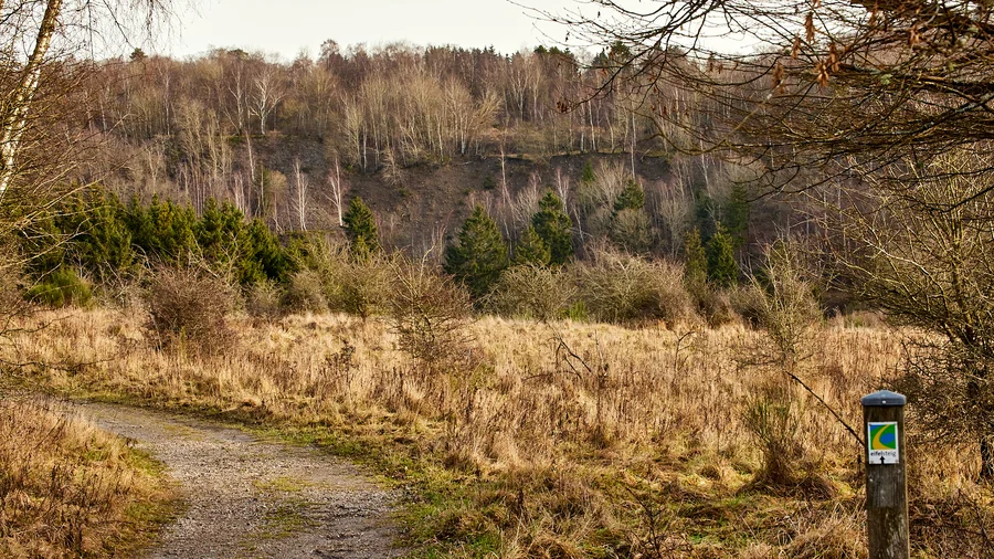 Wanderung um den Urftsee