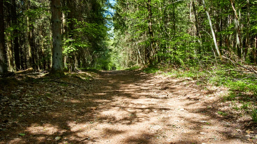Heideheimat