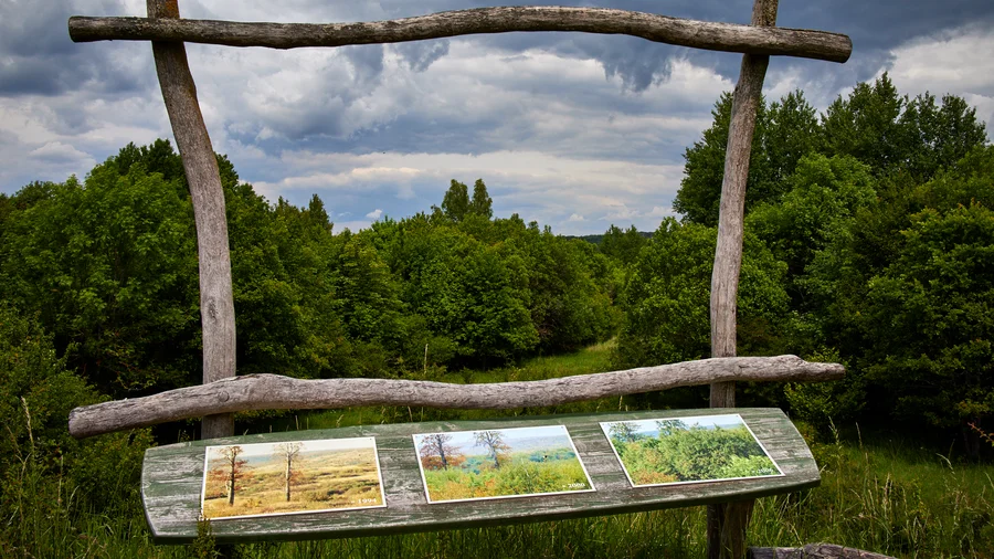 Wildkatzenpfad Hütscheroda