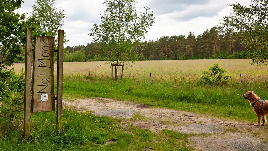 Nordpfade - Dör't Moor