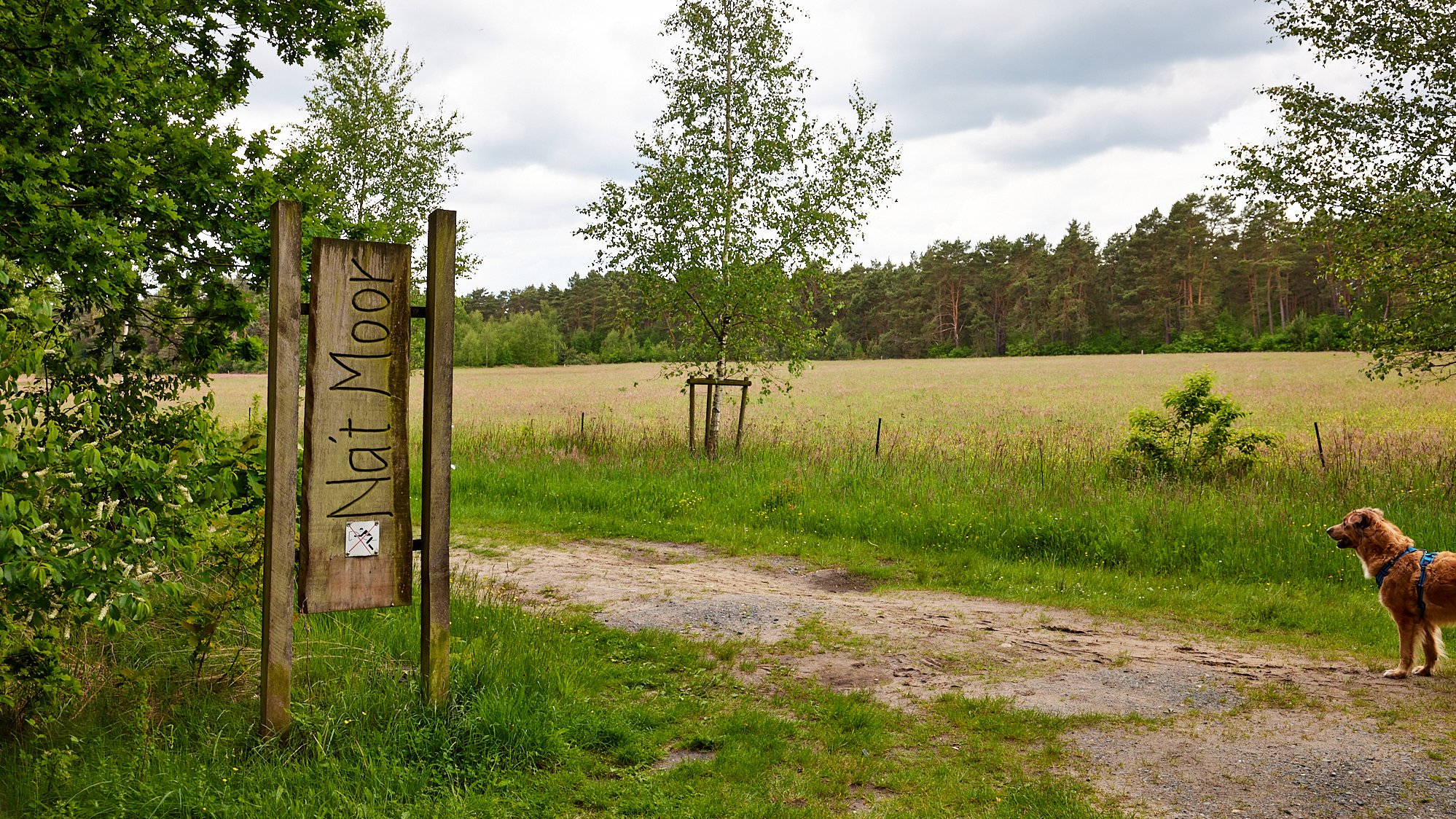 Nordpfad Dör't Moor