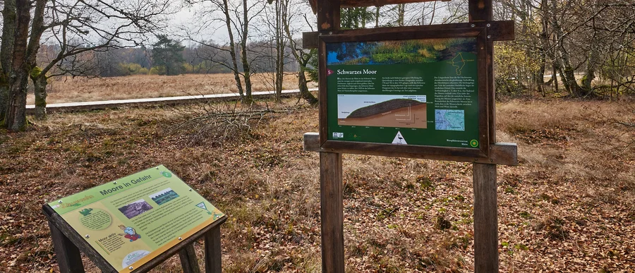 Der Bohlenweg im Schwarzen Moor