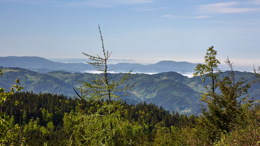 Schwarzwald