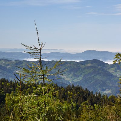 Schwarzwald