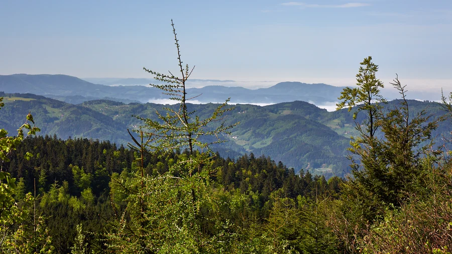 Blick über den Schwarzwald von der Scharzwald Hochstraße