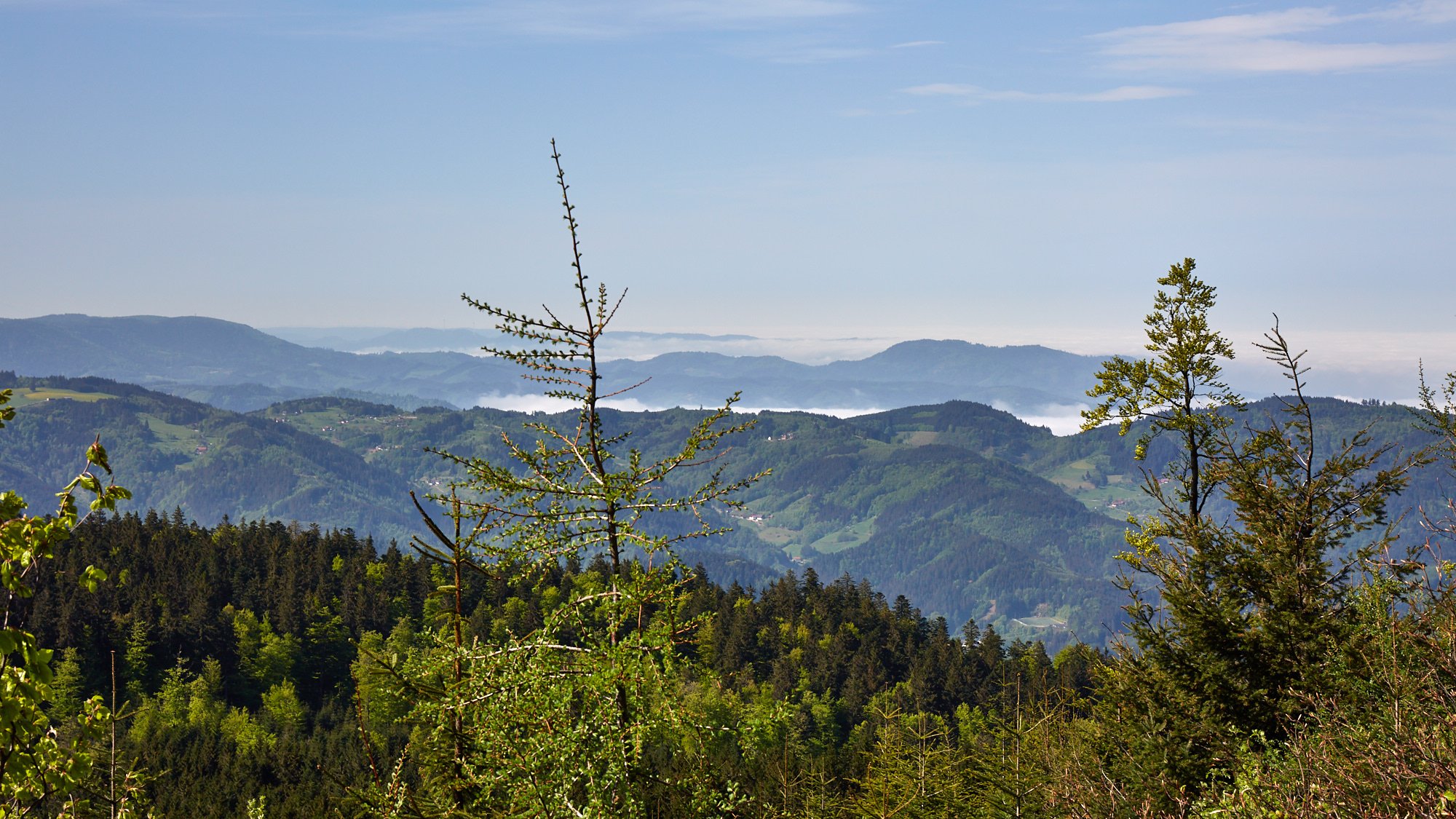 Wohnmobiltour Schwarzwald