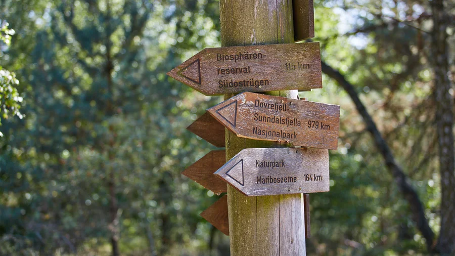Nationalpark Müritz