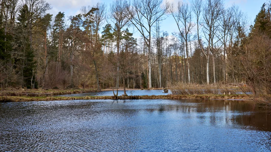 Habichtswald