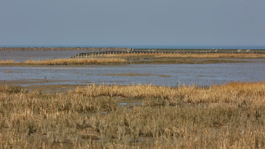 Dornumersiel