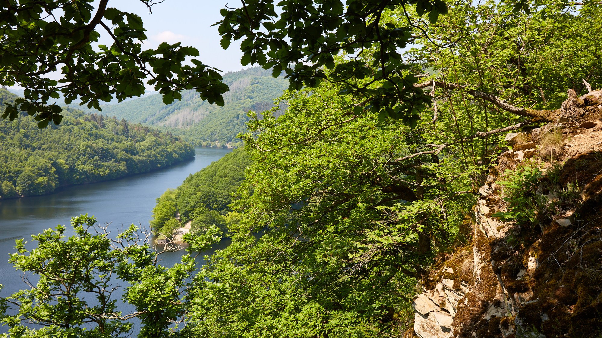 Pfingsten im Nationalpark Eifel