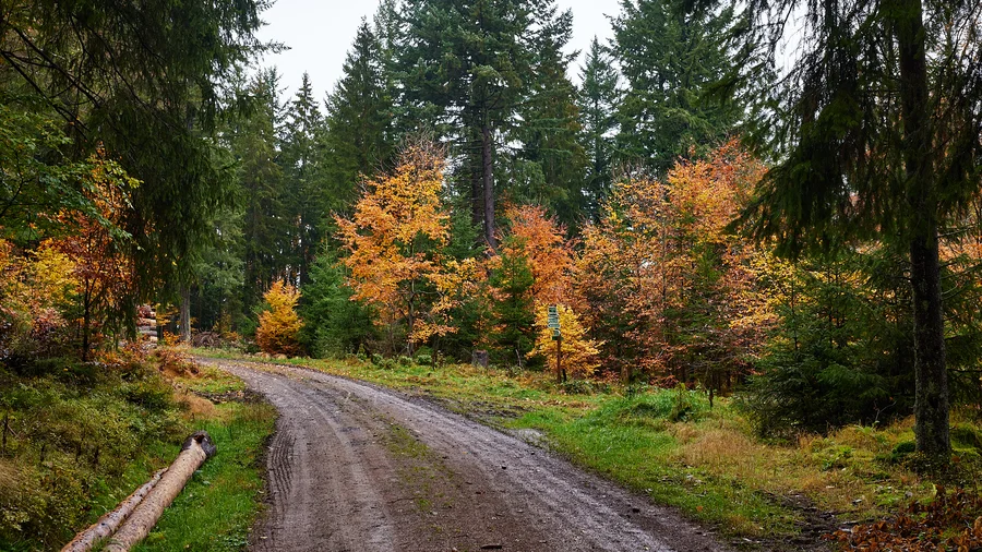 Vessertal