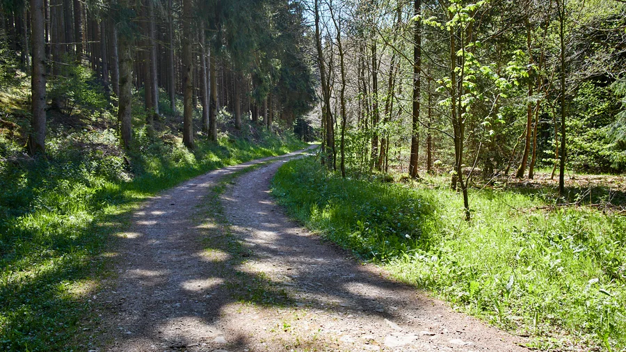 EifelSchleife Udenbrether Höckerlinie