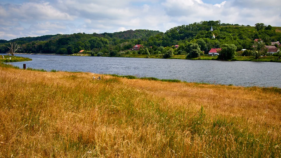 Auenpfad
