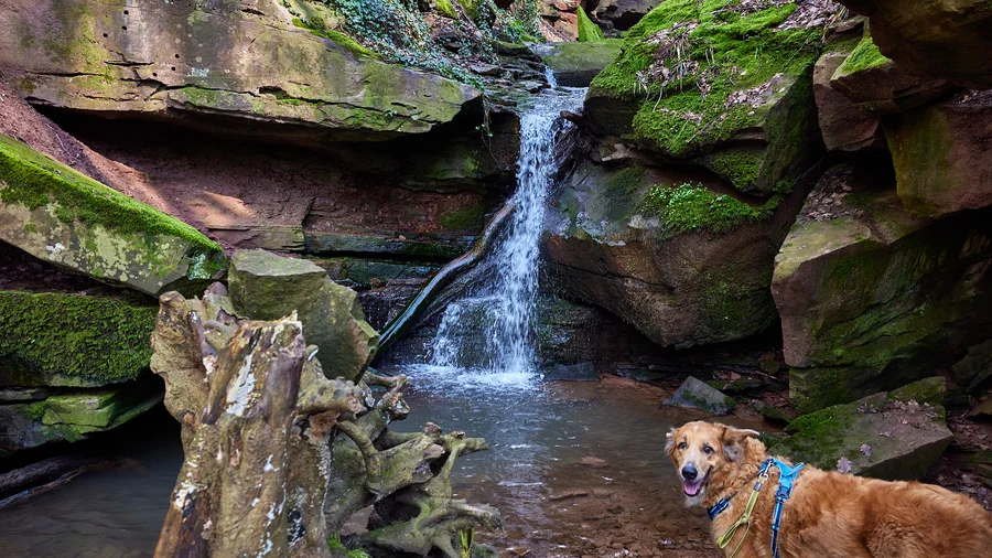 Margarethenschlucht