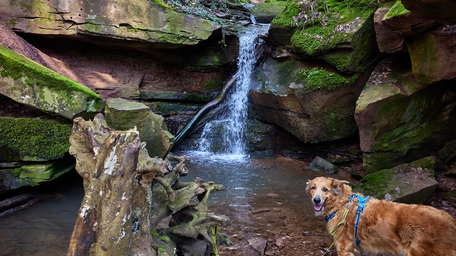 Margarethenschlucht
