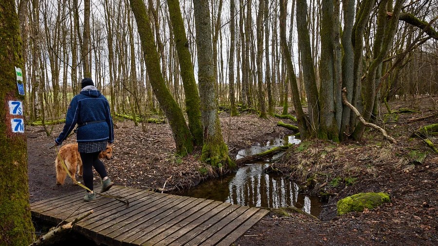 7-Weiher-Weg